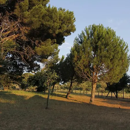 Villa Giulia