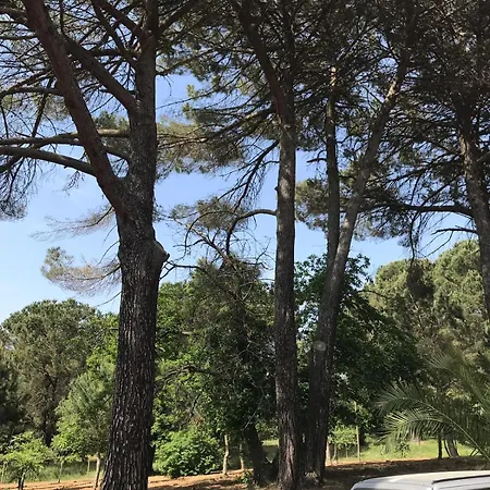 Villa Giulia *