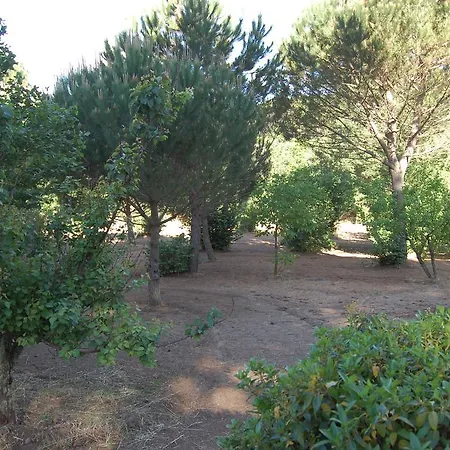 Giulia Villa Piazza Armerina