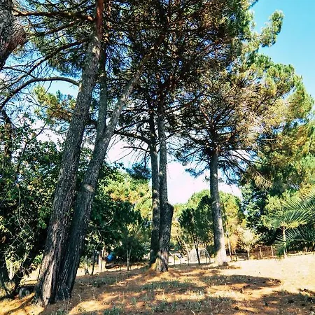 Giulia Piazza Armerina