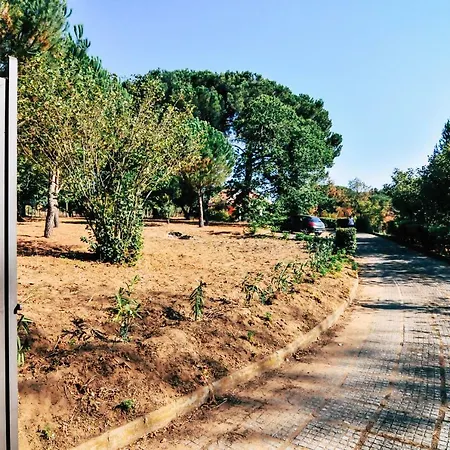 Giulia Villa Piazza Armerina